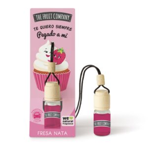 THE FRUIT AMBIENTADOR COCHE
